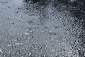 Pluie