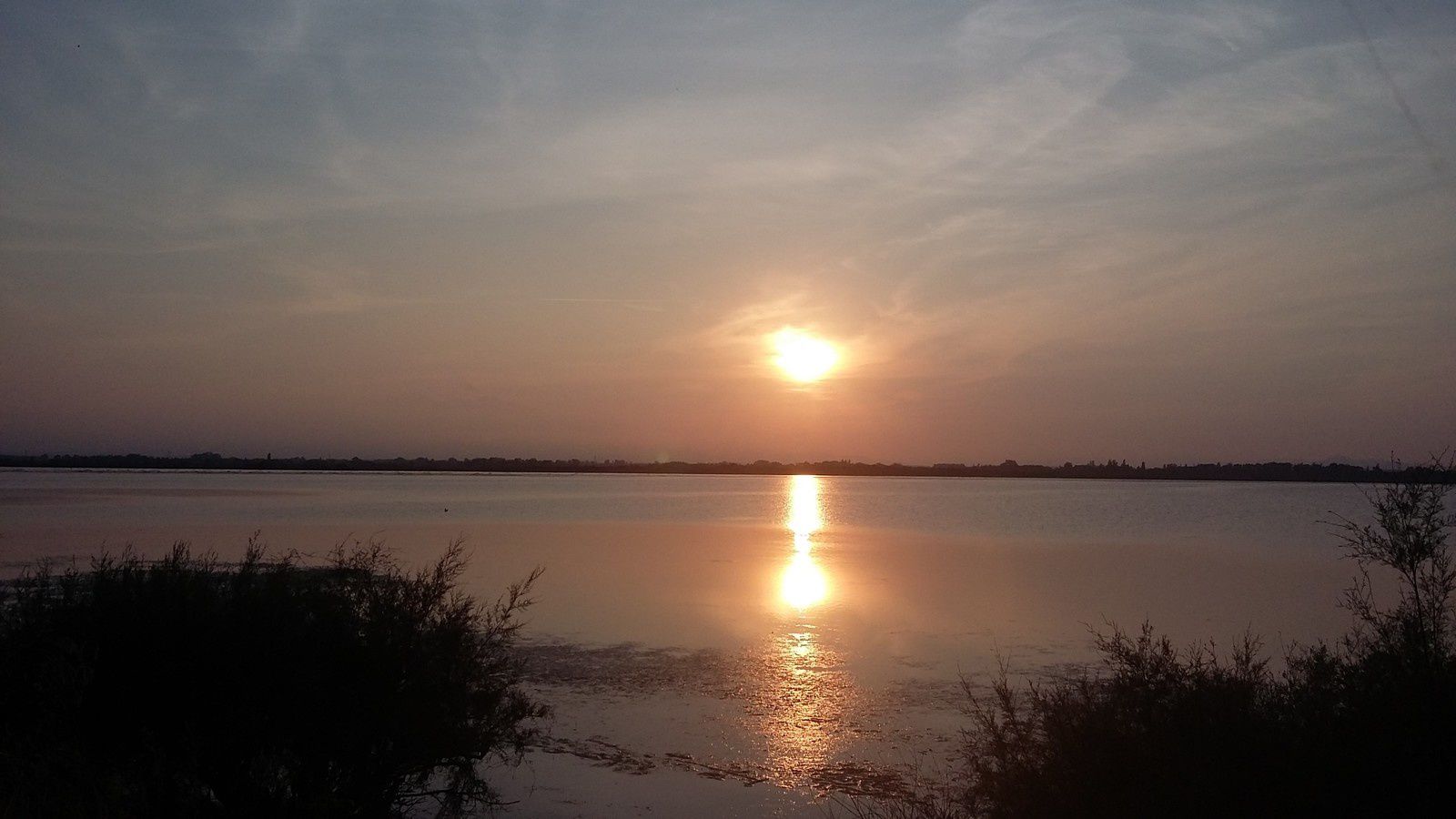 Rives