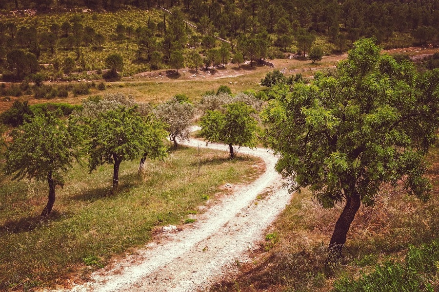 Sentier